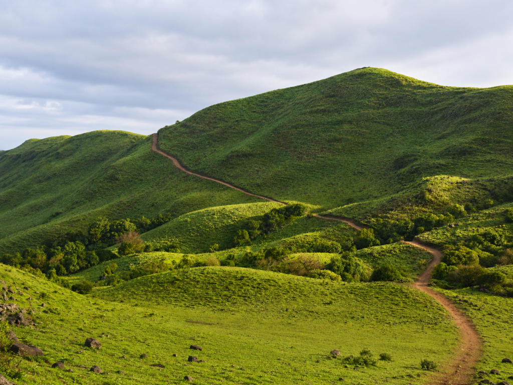Madikeri Deeksha travels | Perfect Travel partner